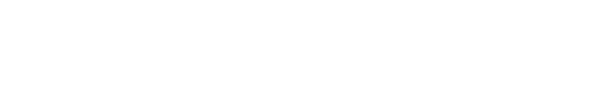 WINTER LIMITED