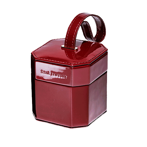 《数量限定》オーナメントボックス