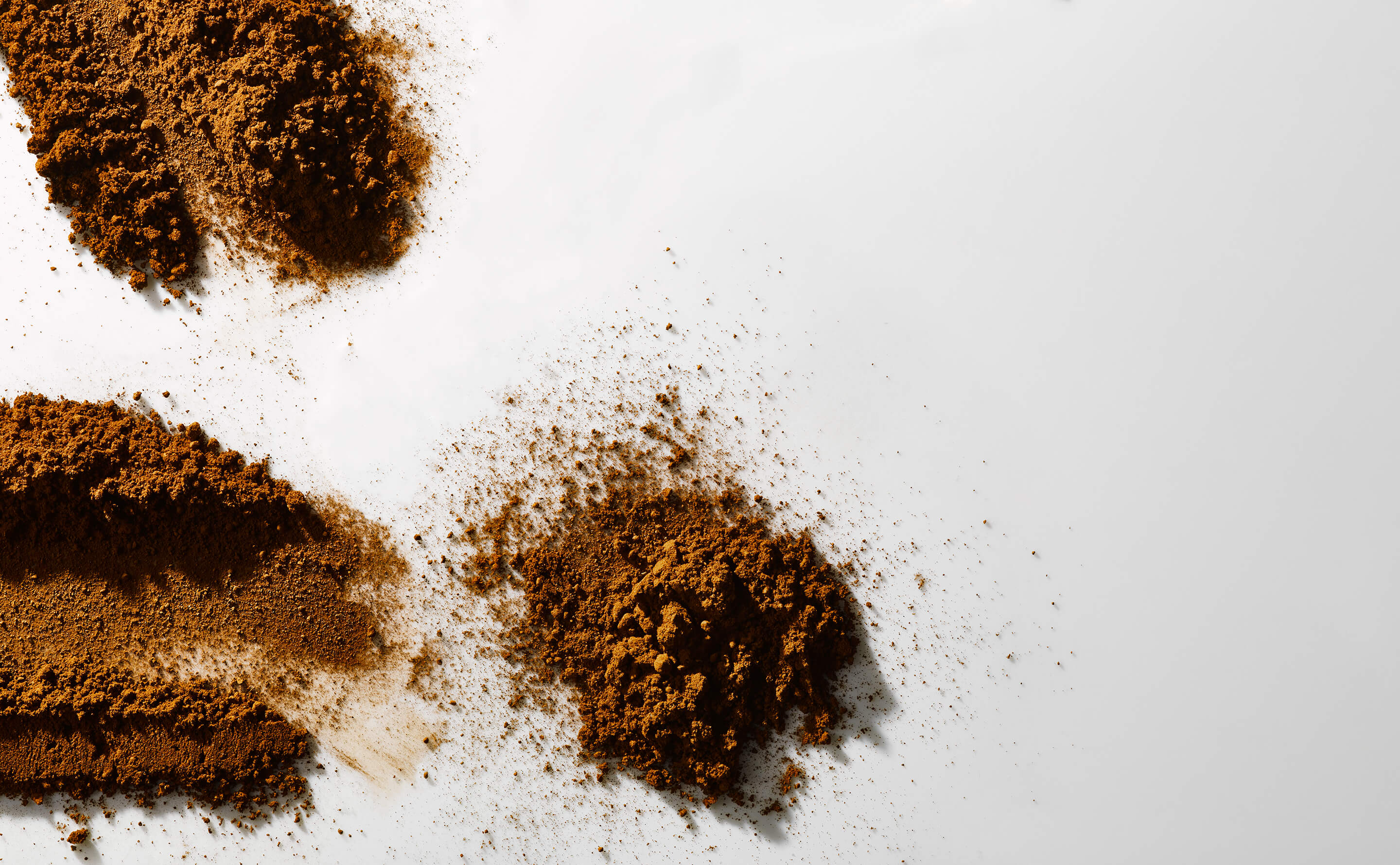 THE FORTUNE 2026年初売り商品