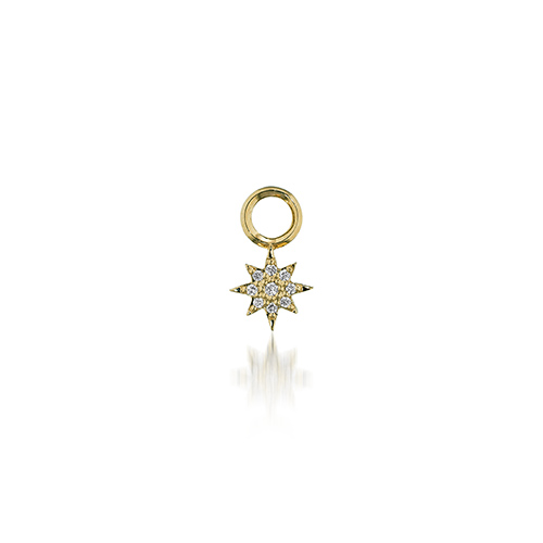 K18 ピアスチャーム, , medium