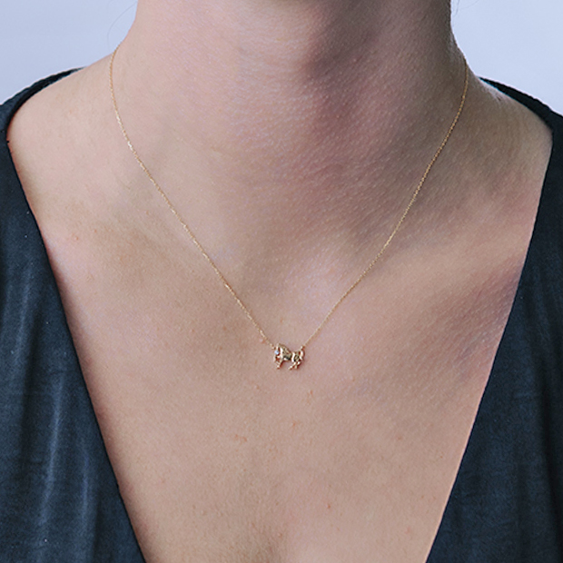 80周年限定商品】WILD HORSE NECKLACE(2JN1172)K10 ネックレス｜スター