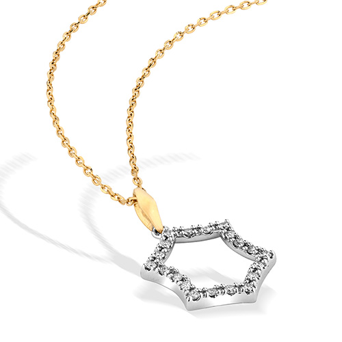 GLORIOUS GARDEN NECKLACE(1ZN1131)K18/Pt950 ネックレス｜スター