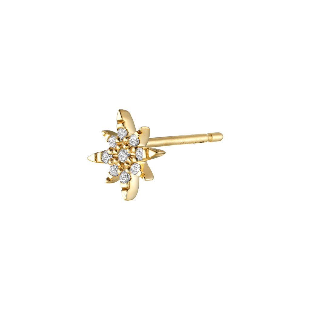 ピアスDIAMOND CROSSING STAR PIERCED EARRING(2ZP1581)｜スター