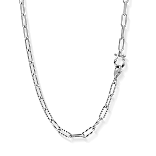 BUCKLE CLIP CHAIN(2SN1638)SV925 ネックレス｜スタージュエリー公式