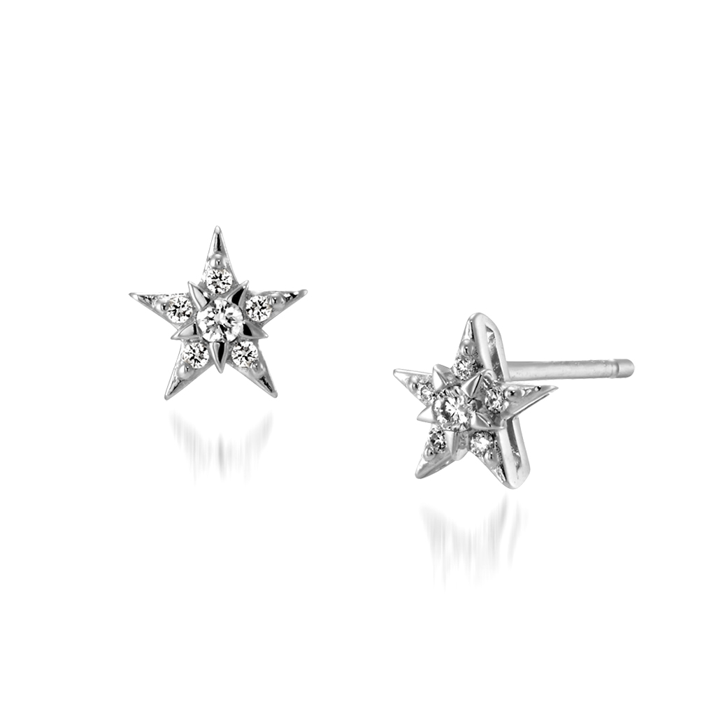 STAR of STARS