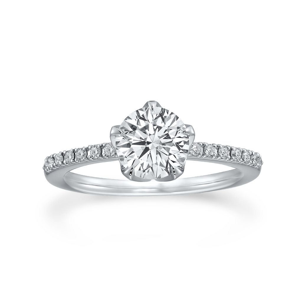 TMT SEAL STAR RING スター リング 17号 定価¥39,600 メンズ